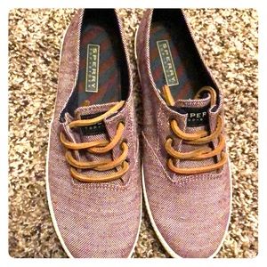 Sperrys size 6 1/2